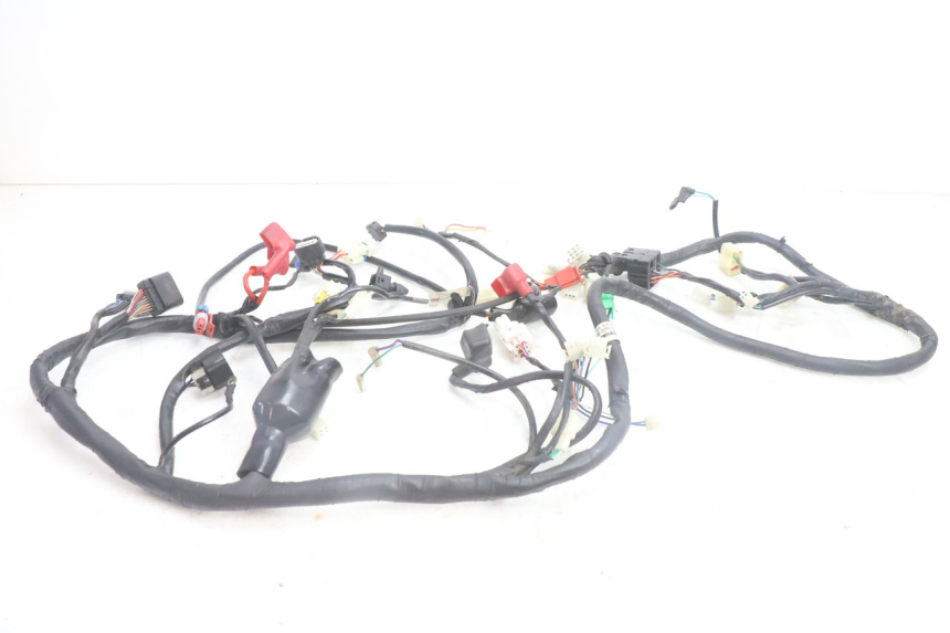 photo de KABELBOOM JM MOTORS SANTANA EVO 50 (2024 - 2026) - Hoofdaanzicht