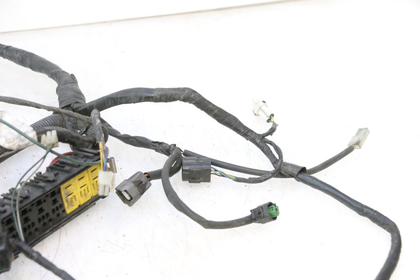 photo de KABELBOOM PEUGEOT SATELIS 125 (2006 - 2009) - Overzicht