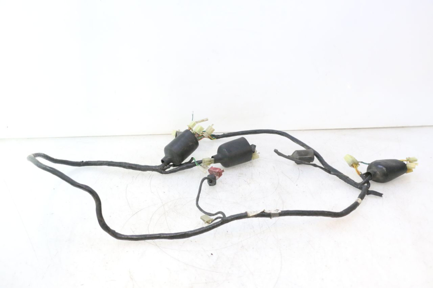 photo de KABELBOOM HONDA SH 125 (2001 - 2003) - Hoofdaanzicht