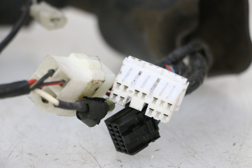 photo de KABELBOOM TRIUMPH SPRINT 900 (1995 - 1998) - Focus op structuur