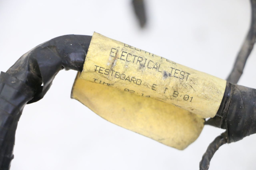 photo de KABELBOOM TRIUMPH SPRINT 900 (1995 - 1998) - Technische close-up