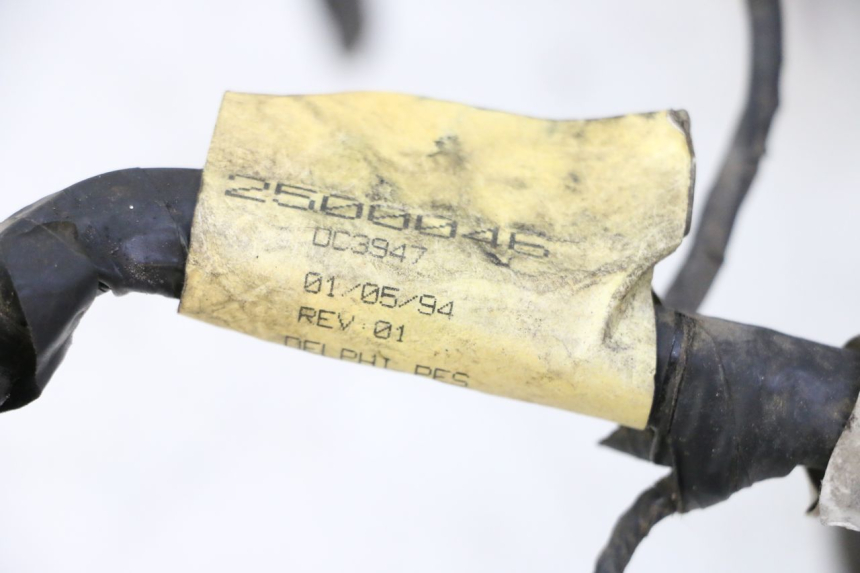 photo de KABELBOOM TRIUMPH SPRINT 900 (1995 - 1998) - Overzicht