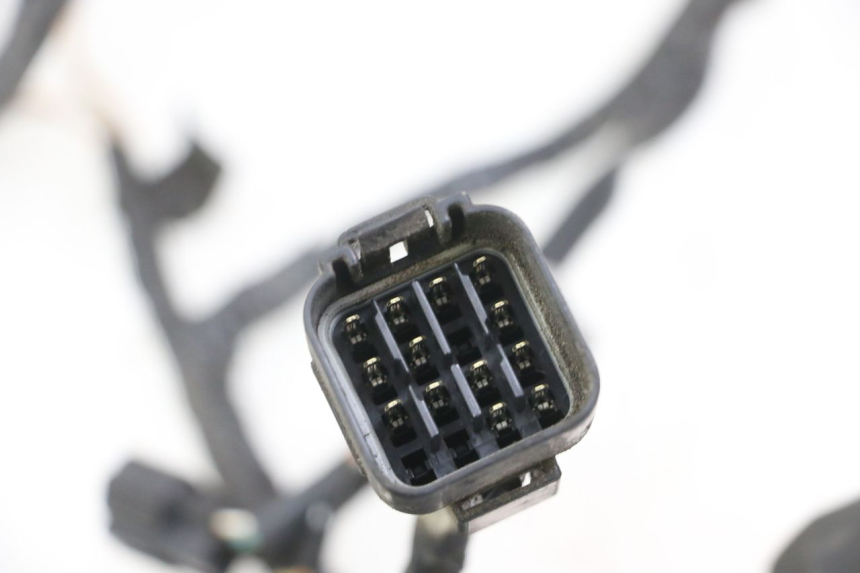 photo de KABELBOOM SUZUKI GSX F GSXF 650 (2007 - 2015) - Overzicht