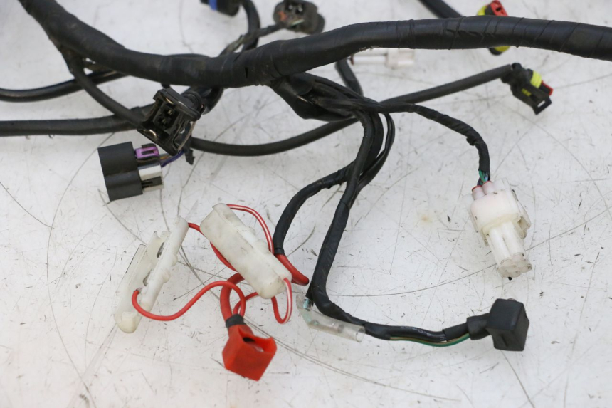 photo de KABELBOOM NECO TEMPO 4T 50 (2022 - 2026) - Overzicht