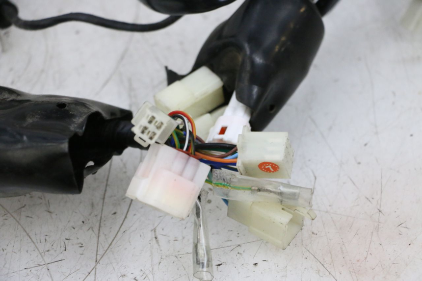 photo de KABELBOOM NECO TEMPO 4T 50 (2022 - 2026) - Gecontroleerd onderdeel