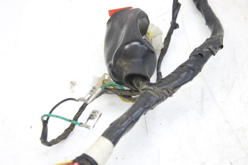 photo de KABELBOOM PEUGEOT TWEET 4T 50 (2010 - 2014) - Bevestigingspunten