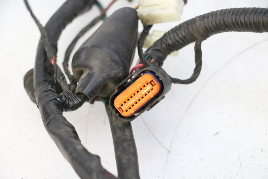 photo de KABELBOOM PEUGEOT TWEET PRO CARGO 50 (2018 - 2022) - Zoom op gebruiksstaat