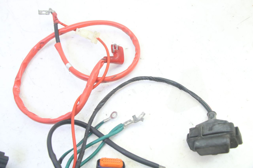 photo de KABELBOOM PEUGEOT TWEET PRO EFI 4T 50 (2021 - 2022) - Overzicht