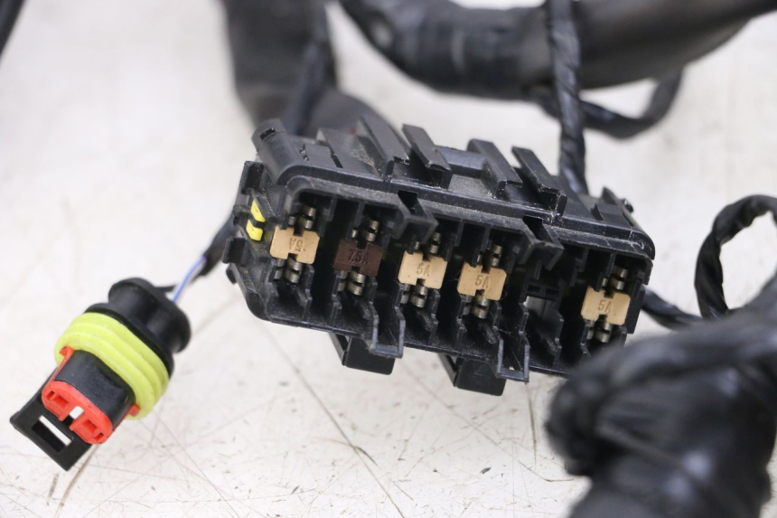 photo de KABELBOOM PIAGGIO VESPA PRIMAVERA 4T 50 (2021 - 2024) - Bevestigingspunten