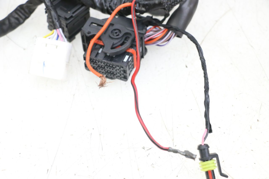 photo de KABELBOOM PIAGGIO VESPA PRIMAVERA 4T 50 (2021 - 2024) - Markeringen en referenties