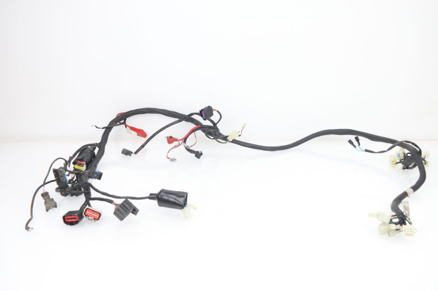 photo de KABELBOOM JM MOTORS VIPER 4T 50 (2015 - 2022) - Hoofdaanzicht