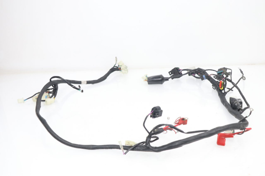 photo de KABELBOOM JM MOTORS VIPER 4T 50 (2015 - 2022) - Overzicht