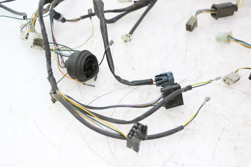 photo de KABELBOOM PEUGEOT VIVACITY 50 (2004 - 2009) - Focus op structuur