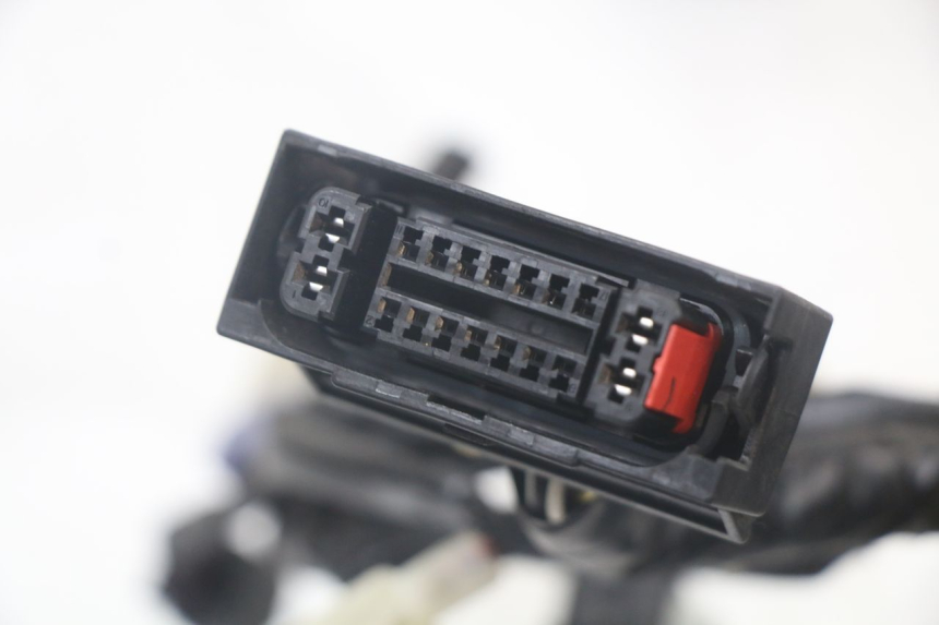 photo de KABELBOOM YAMAHA XMAX X-MAX ABS 125 (2017 - 2020) - Zoom op componenten