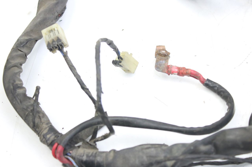 photo de KABELBOOM PIAGGIO X9 EVOLUTION 125 (2003 - 2007) - Zoom op componenten