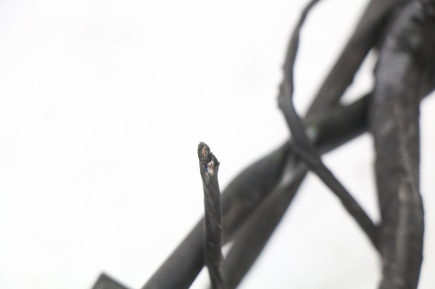 photo de KABELBOOM PIAGGIO XEVO - X EVO 125 (2007 - 2017) - Productaanzicht