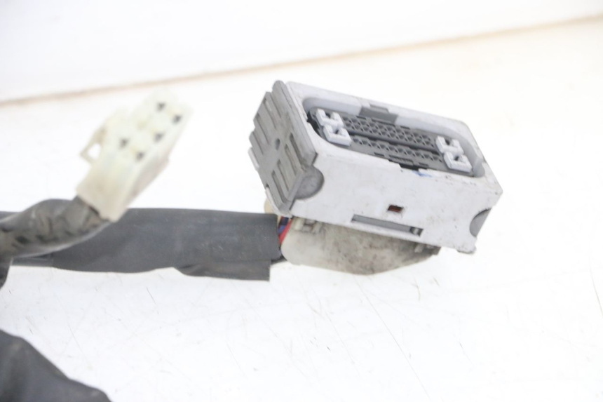 photo de KABELBOOM YAMAHA XJ6 ABS 600 (2008 - 2016) - Markeringen en referenties