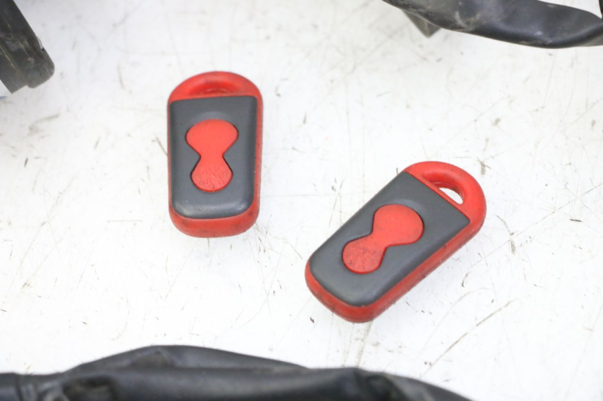 photo de KABELBOOM YAMAHA XJ6 ABS 600 (2008 - 2016) - Zoom op kwaliteit