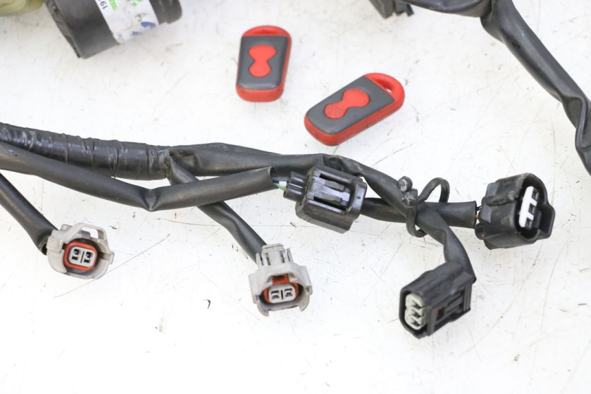 photo de KABELBOOM YAMAHA XJ6 ABS 600 (2008 - 2016) - Profielaanzicht