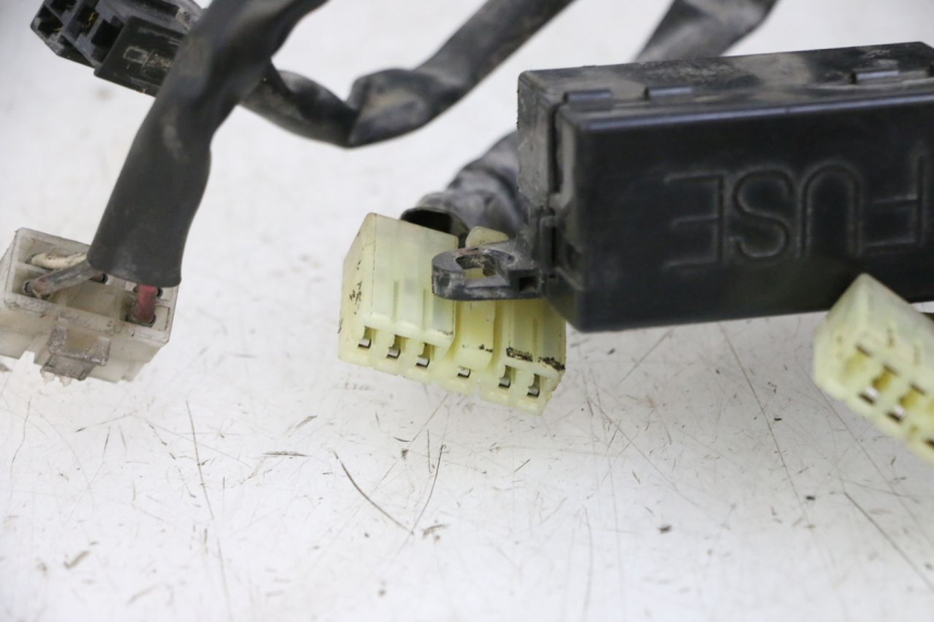 photo de KABELBOOM YAMAHA XJN DIVERSION 600 (2000 - 2003) - Kenmerkende details