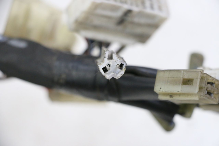 photo de KABELBOOM YAMAHA FZ6 FAZER S2 600 (2007 - 2011) - Overzicht