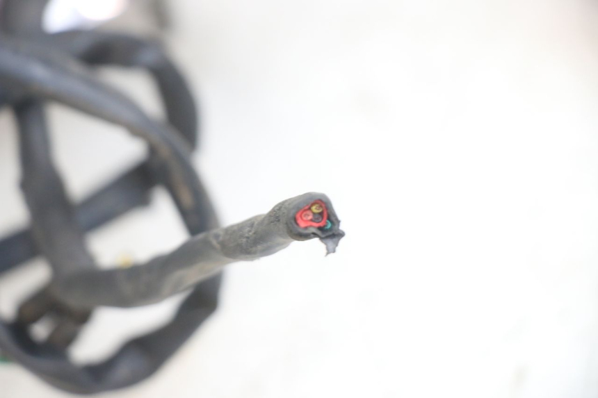 photo de ACHTERLICHT HONDA CA REBEL 125 (1995 - 2001) - Bevestigingspunten