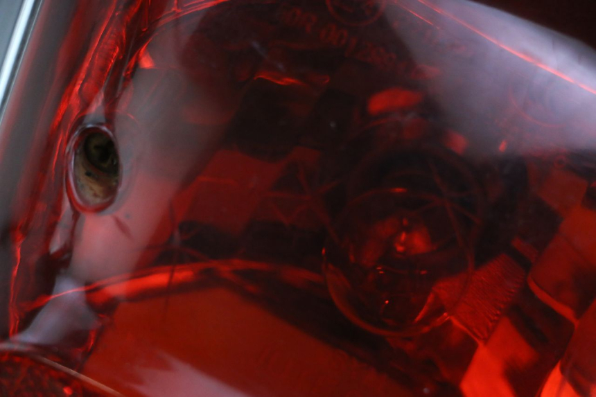 photo de ACHTERLICHT SYM FIDDLE 2 50 (2008 - 2013) - Zoom op gebruiksstaat