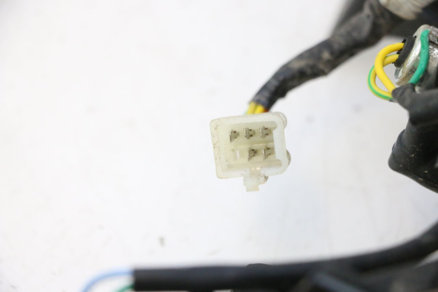 photo de ACHTERLICHT PEUGEOT KISBEE 4T 50 (2018 - 2022) - Technische close-up