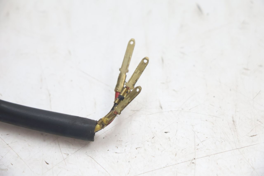 photo de ACHTERLICHT PEUGEOT LUDIX SNAKE 2T 50 (2004 - 2014) - Gecontroleerd onderdeel