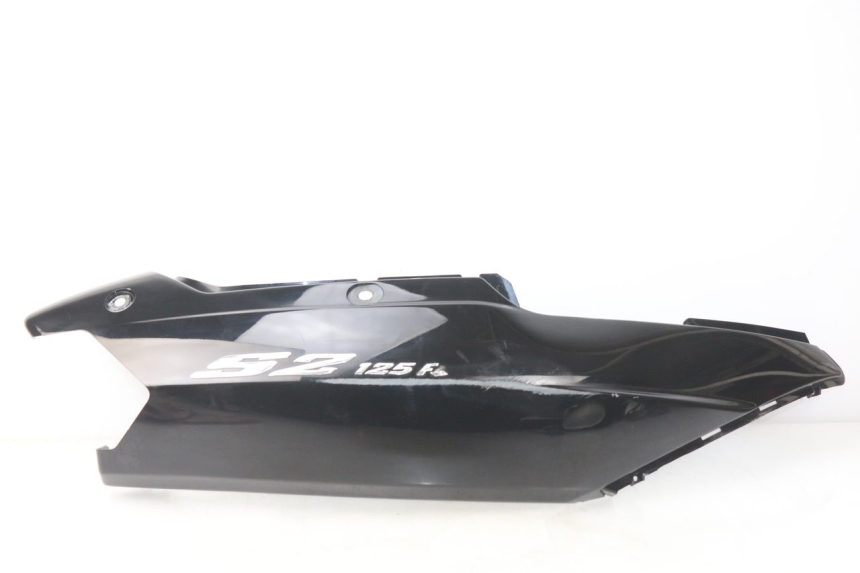 photo de RECHTER ACHTERZIJDE DAELIM S2 FI 125 (2008 - 2017) - Hoofdaanzicht