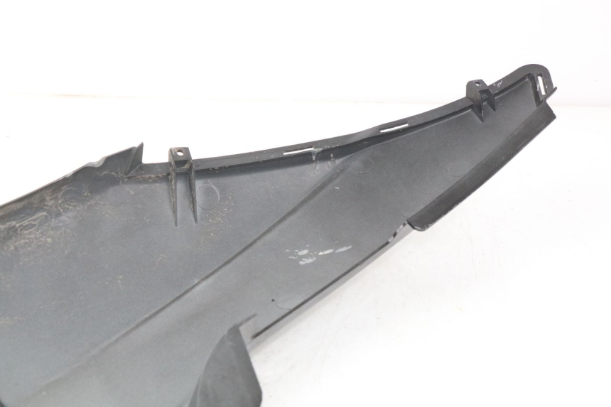 photo de RECHTER ACHTERZIJDE DAELIM S2 FI 125 (2008 - 2017) - Andere kijkhoek