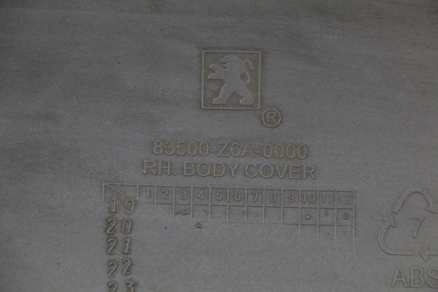 photo de RECHTER ACHTERZIJDE PEUGEOT TWEET 125 (2018 - 2021) - Staat van het oppervlak