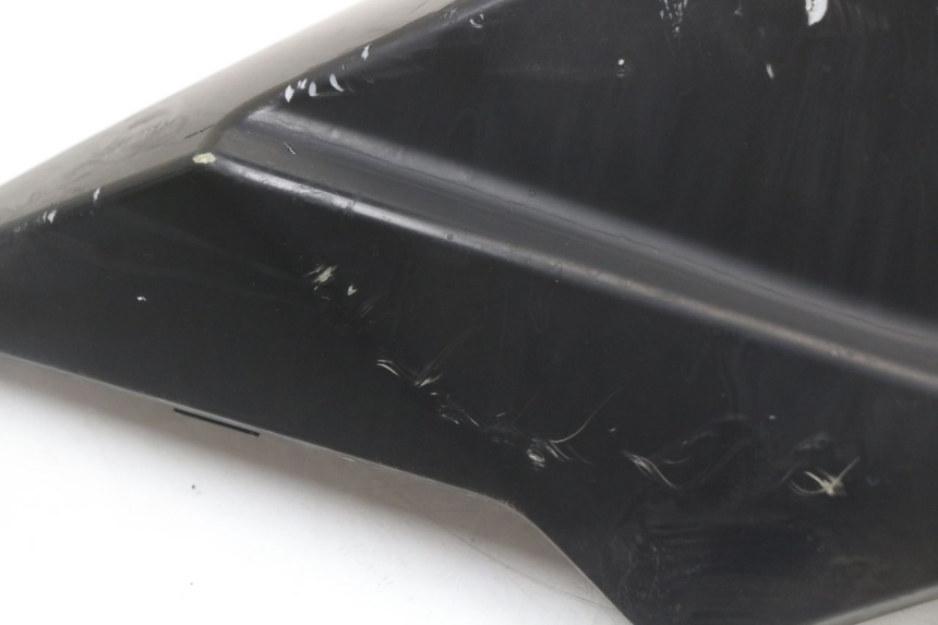 photo de LINKER ACHTERZIJDE LONGJIA EASY MAX 125 (2020 - 2024) - Productaanzicht