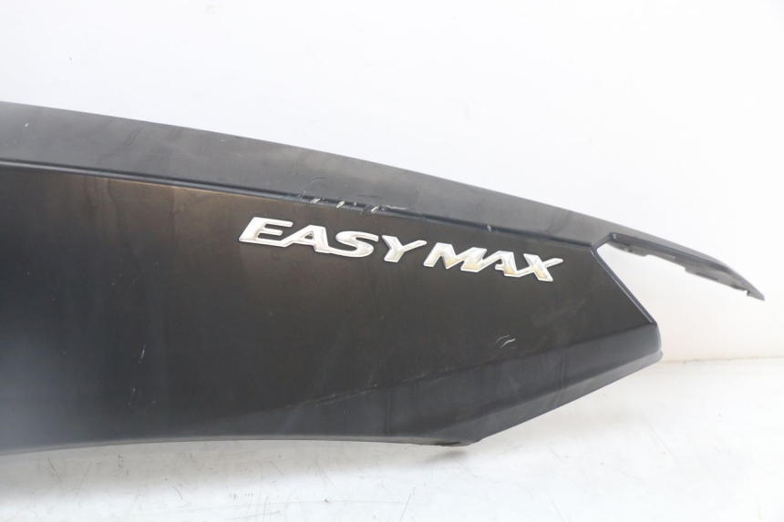 photo de LINKER ACHTERZIJDE LONGJIA EASY MAX 125 (2020 - 2024) - Andere kijkhoek