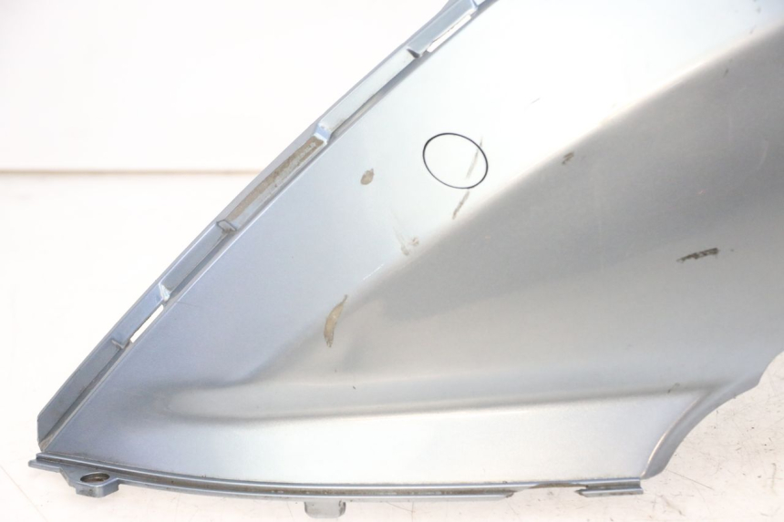 photo de LINKER ACHTERZIJDE DAELIM HISTORY 125 (2001 - 2002) - Zoom op componenten