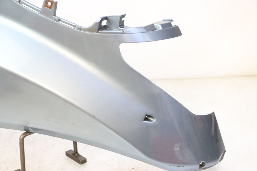 photo de LINKER ACHTERZIJDE DAELIM HISTORY 125 (2001 - 2002) - Markeringen en referenties