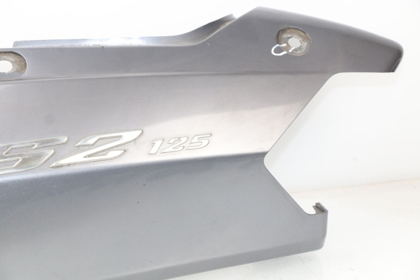 photo de LINKER ACHTERZIJDE DAELIM S2 125 (2006 - 2007) - Focus op structuur