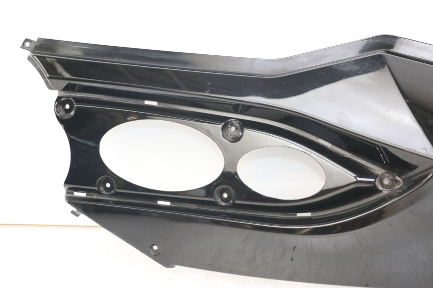 photo de LINKER ACHTERZIJDE DAELIM S3 125 (2010 - 2017) - Detailaanzicht