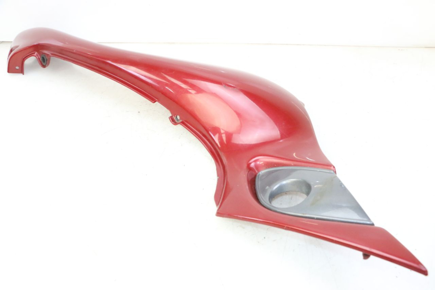 photo de LINKER ACHTERZIJDE PANEL TRIUMPH SPRINT 900 (1995 - 1998) - Zoom op componenten