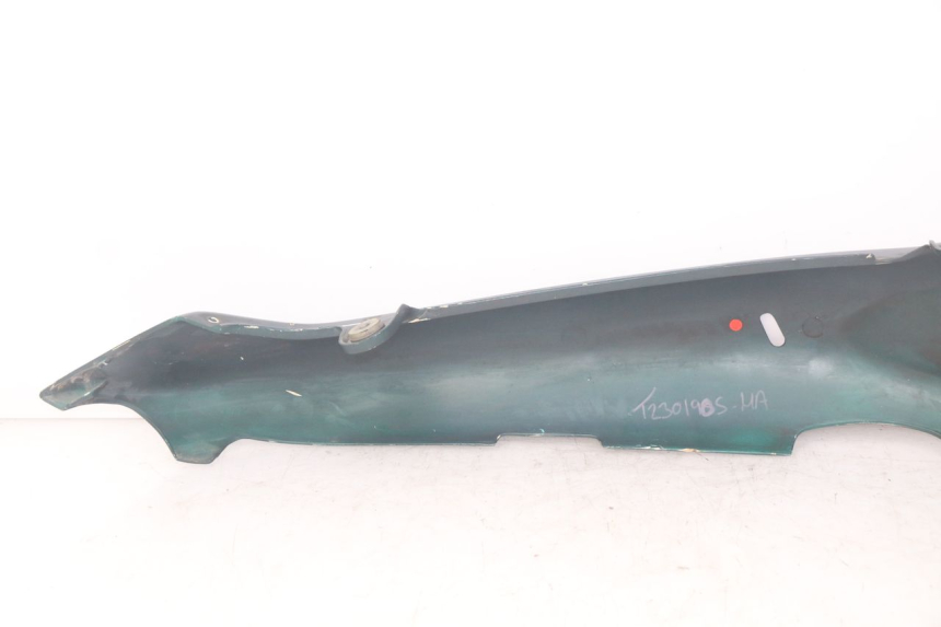 photo de LINKER ACHTERZIJDE TRIUMPH SPRINT ST 955 (1999 - 2001) - Technische close-up