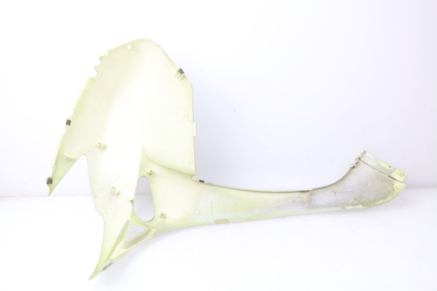 photo de VOORSTE RECHTER ZIJSCHERM ERIDER CARGO 1 (2009 - 2018) - Technische close-up