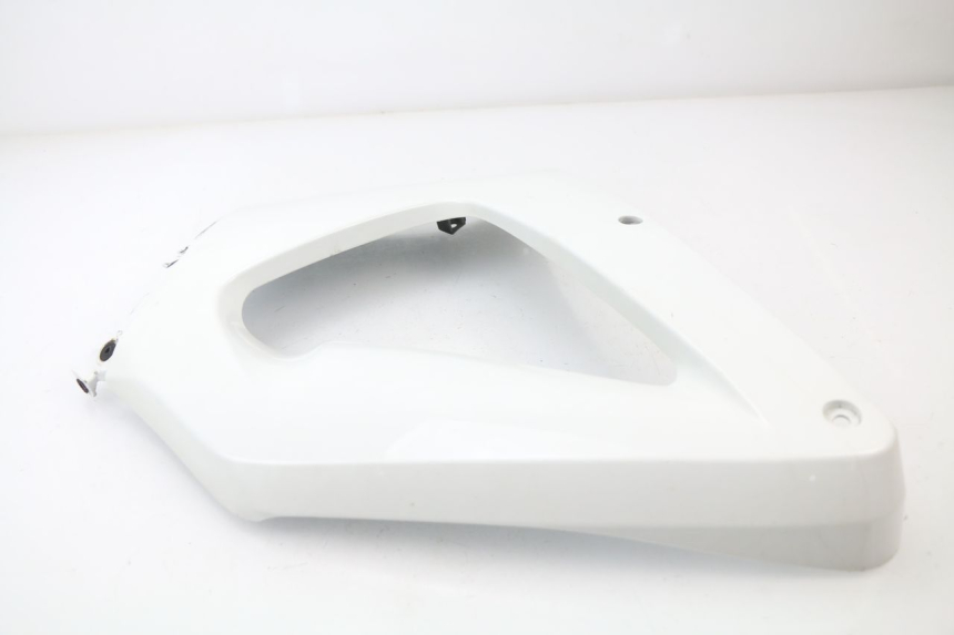 photo de VOORSTE RECHTER ZIJSCHERM HONDA CBR 929 RR FIREBLADE 900 (2000 - 2001) - Technische close-up
