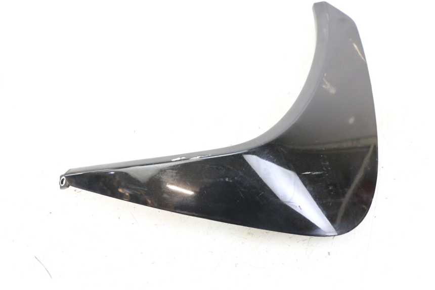 photo de VOORSTE RECHTER ZIJSCHERM PEUGEOT GEOPOLIS RS 125 (2007 - 2009) - Technische close-up