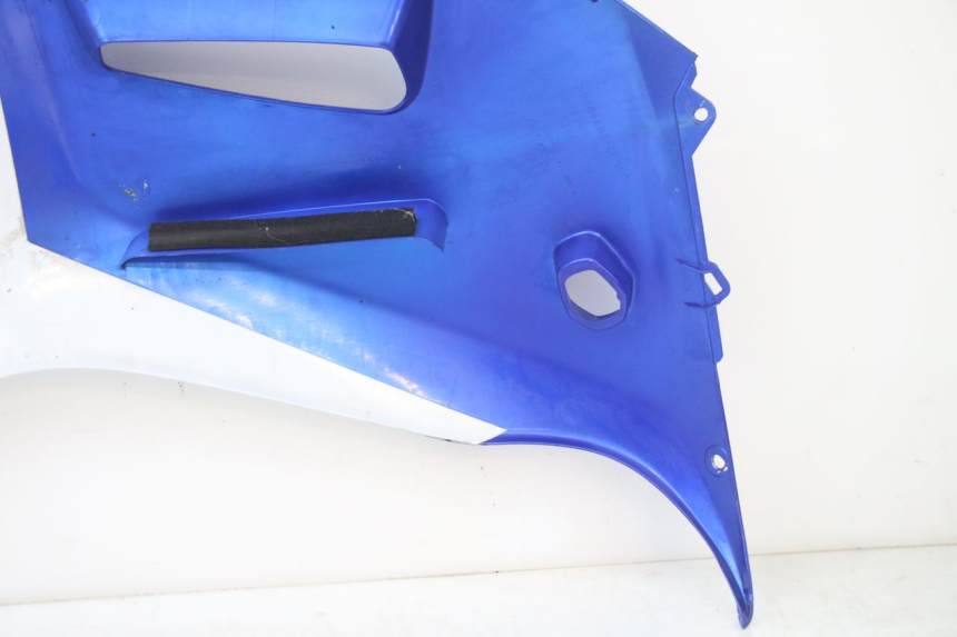 photo de VOORSTE LINKER ZIJPANEEL SUZUKI GSX F GSXF 650 (2007 - 2015) - Detailaanzicht
