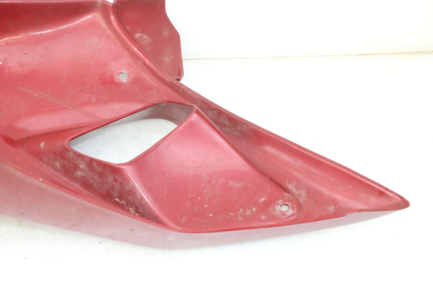 photo de VOORSTE LINKER ZIJPANEEL TRIUMPH SPRINT 900 (1995 - 1998) - Overzicht