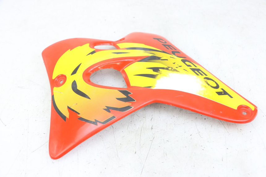 photo de VOORSTE LINKER ZIJPANEEL PEUGEOT XP6 50 (1997 - 2003) - Zoom op gebruiksstaat