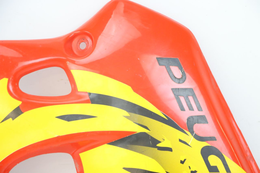 photo de VOORSTE LINKER ZIJPANEEL PEUGEOT XP6 50 (1997 - 2003) - Staat van het oppervlak