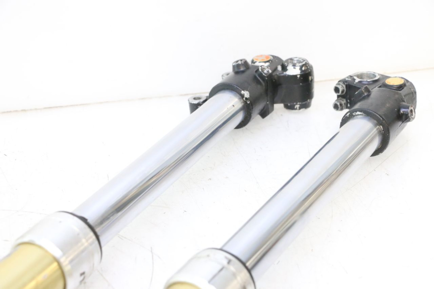photo de VORKHULS HM HONDA DERAPAGE 50 (2007 - 2009) - Focus op structuur