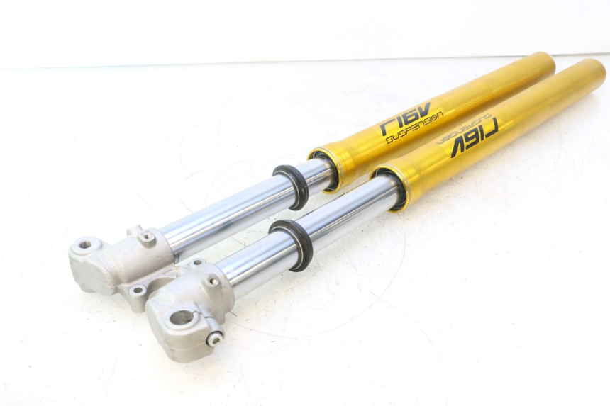photo de VORKHULS RIEJU MRT PRO SUPERMOTARD 50 (2007 - 2018) - Overzicht