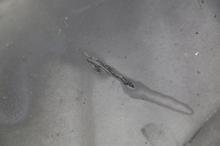 photo de ACHTERSPOILER HONDA FORZA 125 (2015 - 2016) - Detail van het onderdeel